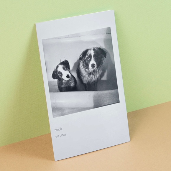 Quote Unquote All Occasions Card by Borealis Press - Picture 2 of 13